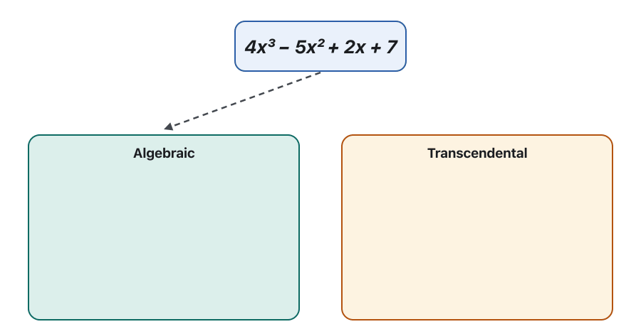 Animation. Formula cards drop one by one into two bins, Algebraic and Transcendental: 4x³ − 5x² + 2x + 7, ∛(5x − 2), √(x + 3)/(x − 1)² and (2x + 1)² go to Algebraic; sin x, 2ˣ, log₂ x and xˣ go to Transcendental. The last frame highlights xˣ: transcendental, but not exponential, because the base x is not a constant.