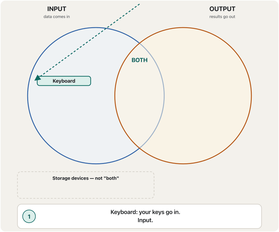 An animation on the input/output diagram. One device at a time drops in from the top along a dashed arrow and lands in its place, highlighted: keyboard into input; monitor into output; touchscreen into both; microphone into input; printer into output, with the note 'output — not input'; headset into both; multifunction printer into both; and finally a USB flash drive into the storage box below the circles, with the note 'a storage device, not both'. A caption under the diagram gives the reason each time.