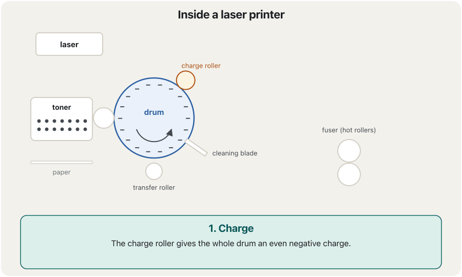 An animation in six steps inside a laser printer. 1 Charge: a charge roller gives the whole drum an even negative charge. 2 Write: the laser draws the page on the drum, and every spot it hits loses its charge, leaving an invisible picture of the page. 3 Develop: toner powder from the toner box jumps only onto those spots. 4 Transfer: the paper passes under the drum; the transfer roller gives it the opposite charge, so the toner moves onto the paper. 5 Fuse: hot rollers melt the toner into the paper, which is why fresh pages are warm. 6 Clean: a blade wipes off leftover toner and the drum turns on, ready for the next page.