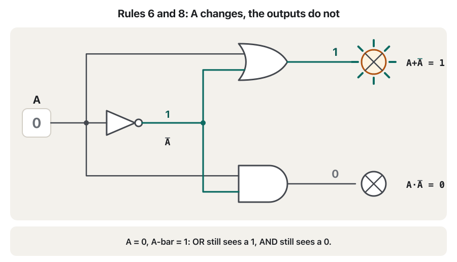 Animation. Input A switches between 0 and 1. A NOT gate makes A-bar, which is always the opposite. A and A-bar feed an OR gate, whose lamp stays on in every frame (A + A-bar = 1), and an AND gate, whose lamp stays off in every frame (A · A-bar = 0).