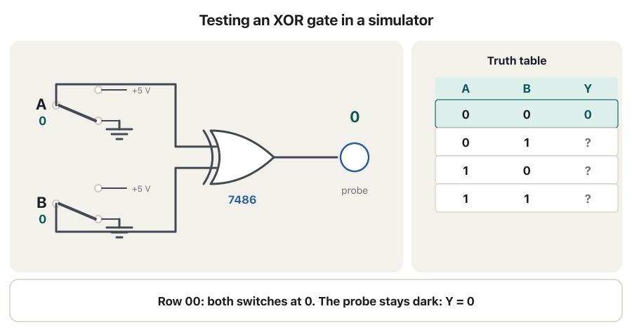 Animation of a simulated XOR test. Two SPDT switches A and B, each choosing +5 V or ground, feed a 7486 XOR gate whose output drives a probe. The switches go through 00, 01, 10 and 11; the probe is dark, lit, lit, dark, and the matching row of the truth table fills in with 0, 1, 1, 0. The last frame says the probe lights only when the inputs differ.