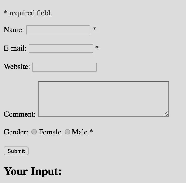 Screenshot of the course form in a browser: a note "* required field.", text boxes for Name and E-mail with an asterisk after each, a Website box, a large Comment box, Gender with two radio buttons Female and Male followed by an asterisk, a Submit button, and a heading "Your Input:".